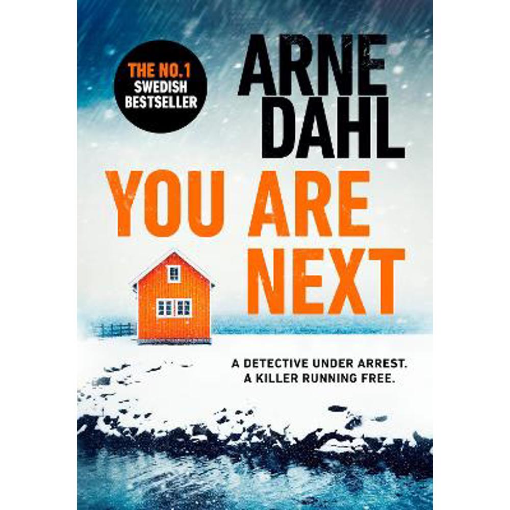 You Are Next (Paperback) - Arne Dahl